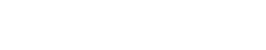 Enlaps Preferred Partner