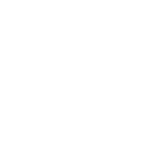 Masini Groupe